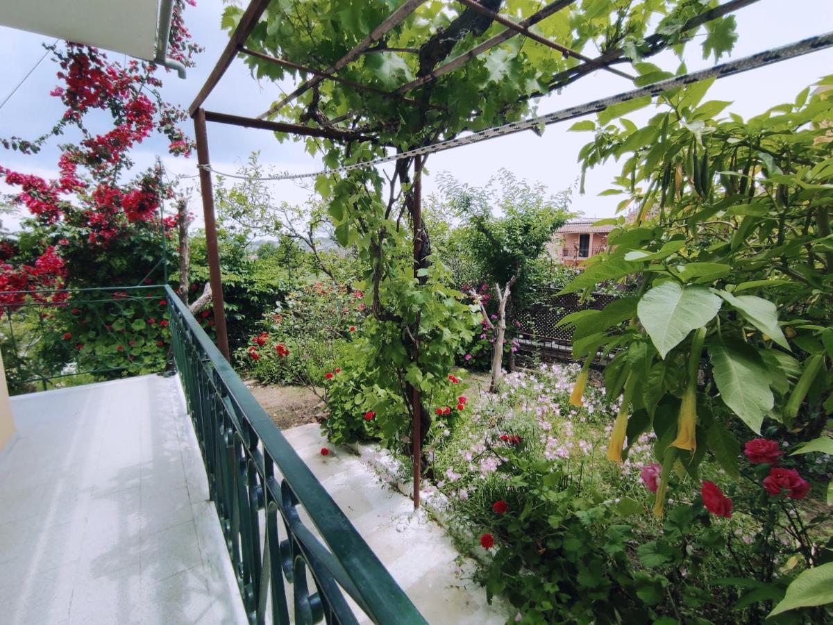Corfu Countryside Apartment Potamós Exteriör bild